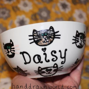 Hand Drawn coloured cat design bowl. For cereal, fruit, Great gift ideas